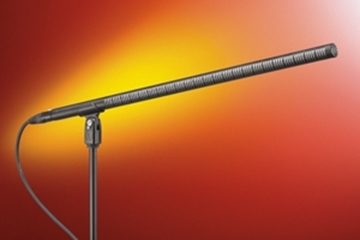 Picture of Line + gradient microphone, 21" long