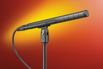 Picture of Line + gradient microphone, 9" long