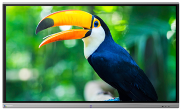 Picture of 65" 4K Ultra-high Definition LCD Flat Panel Android Display