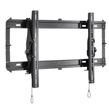 Picture of Large FIT Tilt Wall Mount