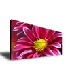 Picture of 46" Ultra Narrow Bezel LCD Video Wall Display