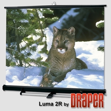 Picture of Luma 2/R with Black Carpeted Case, 150", NTSC, Matt White XT1000E