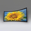Picture of Clarion, 67", 16:10, Grey XH600V