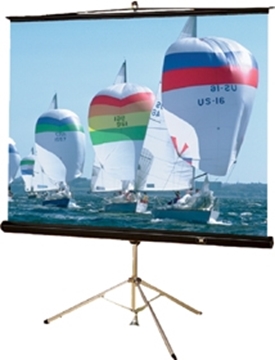 Picture of Buhl 80x80 TPS-T80 - Matte White Fabric - Square Format Projector Screen