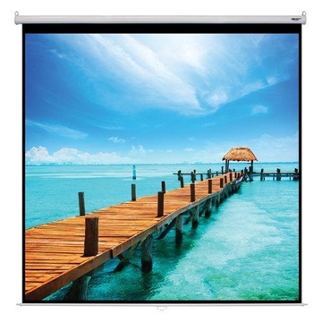 Picture of 170" Manual Pull Down Projection Screen, Square Format, Matte White Fabric