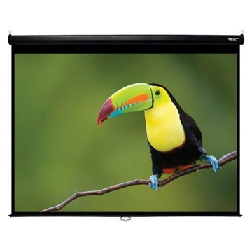 Picture of 120" Manual Pull Down Projection Screen, Video Format, Matte White Fabric, Black