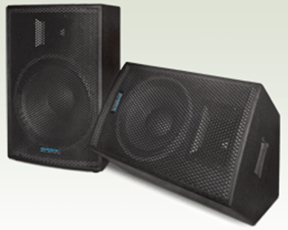 Picture of 12-inch Two-way Full-range Speaker