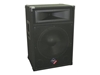 Picture of Full-range Two-way Speaker with 15-inch Woofer