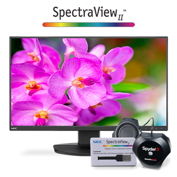 Picture of 24 Full HD Business-Class Widescreen Desktop Monitor with Ultra-Narrow Bezel with SpectraView Color Calibration Solution