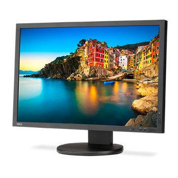 Picture of 24" Professional sRGB Gamut Desktop Monitor
