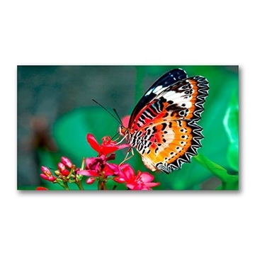 Picture of 46" LED-backlit 3x3 Video Wall Bundle