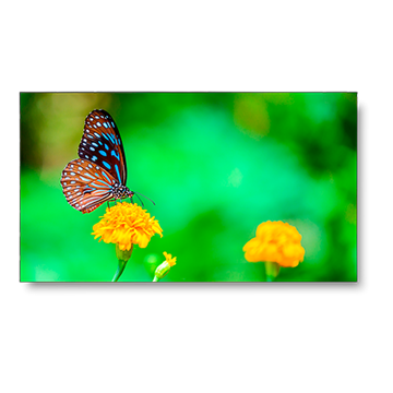 Picture of 49" LED-Backlit 1.8mm 2x2 Video Wall Bundle, 98" Active Screen Size