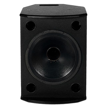 Picture of 12" PowerDual Full Range Loudspeaker for Portable and Installation Applications